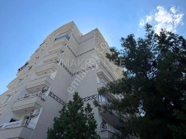Toptancılarda 4+1 Fırsat Daire