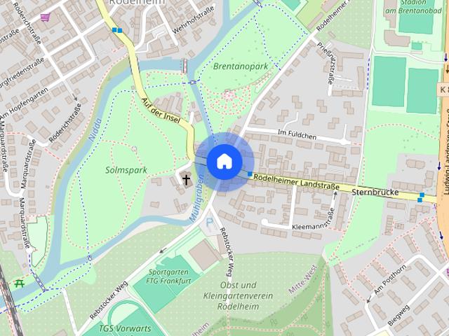 Top! 2024 Sanierte 3 Zimmerwohnung mit Balkon im Rödelheim