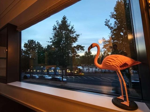 Top 36 m² Studio Apartment Elegant – Stylish – Möbliert – Urban  mit TG Stellplatz