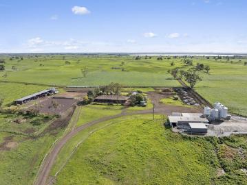 Top Class Colac District Dairy Farm