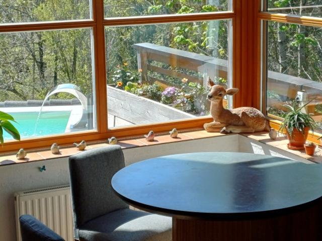 Top gepflegtes Landhaus im Salzburger Land Entspannt den Sommer am Pool genießen