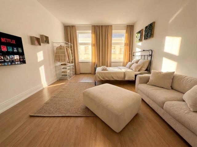Top equipped city apartment