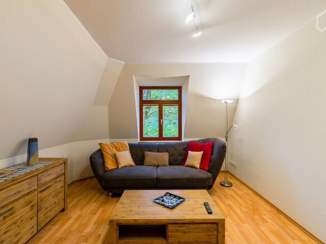 Top floor apartment in Dresden Blasewitz, quiet backstreet, Dresden Amsterdam Apartments for Rent