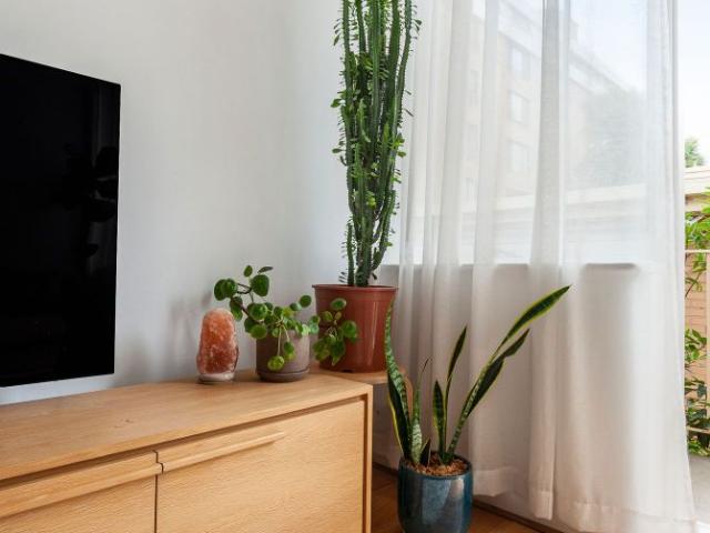 Top Floor Dorchester Apartment