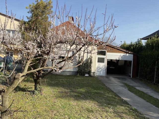 Top Investment: Haus in unmittelbarer Nähe zum Thermalbad in Mosonmagyaróvár, Ungarn