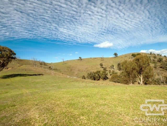 Top of the Moonbi Ranges