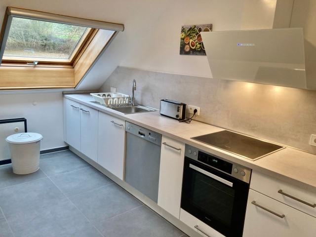 Top location for 2 4 persons, Mainz Amsterdam Apartments for Rent