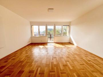 Apartment for sale in Hasnerplatz