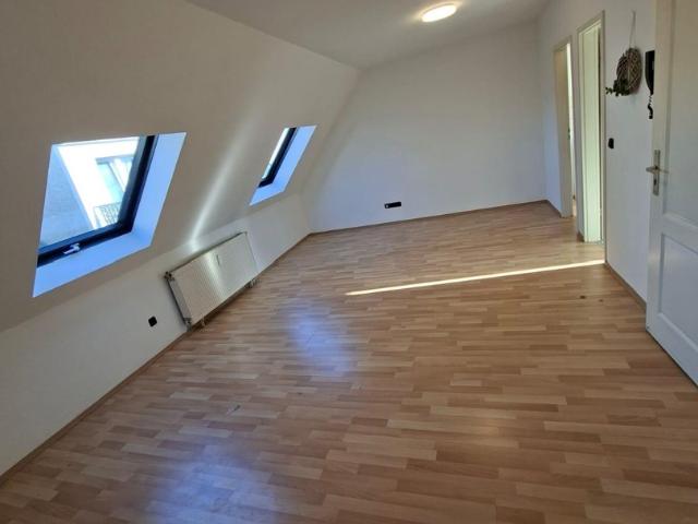 Top Lage in Wetzlar: Gemütliche 1 Zimmer Wohnung mit Küche ab sofort zu vermieten!