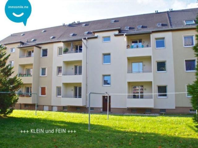 TOP • Laminat • 1 Raum Apartment • Laminat • Bad mit Fenster & Wanne • gleich anschauen • Chemnitz