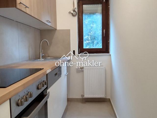 TOP sanierte 2 ZKB+Balkon+Einbauküche+Parkett