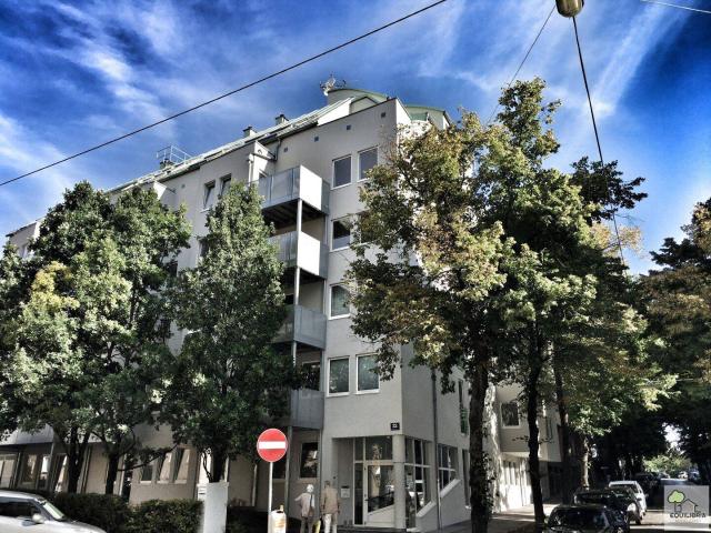 Top sanierte 5 Zi Wohnung mit Balkon in 1190 Wien – 131m² Wohnkomfort!