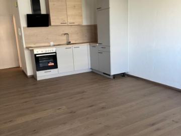 Top sanierte ANLEGER Wohnung in Graz für Studenten od. Singles, UNINÄHE, Perfektes Zuhause zum Wohlfühlen für nur 109.800 €, Parkplatz im Freien, Kellerabteil! Vermietet bis dez. 2027