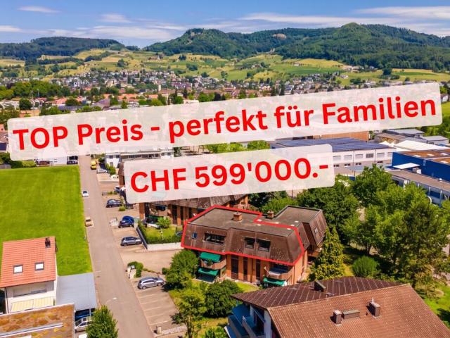 TOP Preis sehr grosse Wohnung direkt an der Grenze zu Sissach