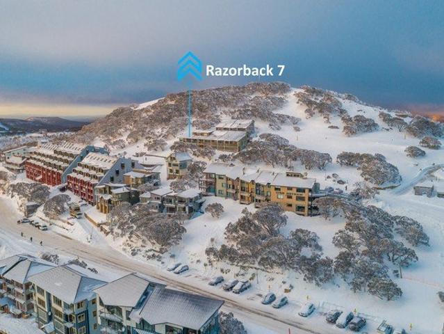 Top Row Seats with Spectacular Eagle Eye Views of the Ski Fields