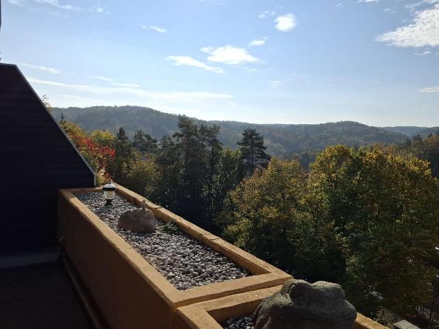 TOP Wohnung mit großen Südbalkon und herrlicher Blick in die Natur