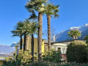 Monti di Piazzogna, Gemeinde Gambarogno, Bezirk Locarno, Tessin