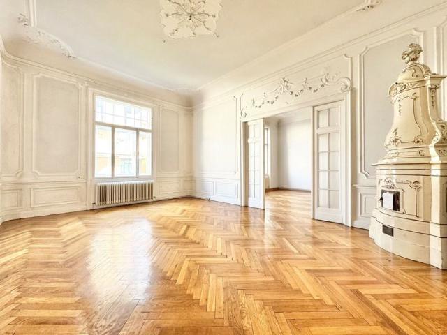 ERSTBEZUG NACH SANIERUNG | TOPLAGE NÄHE THERESIANUM | EXKLUSIVE, KLIMATISIERTE 6 ZIMMER | GARTENSEITIGER BALKON | U BAHN NÄHE