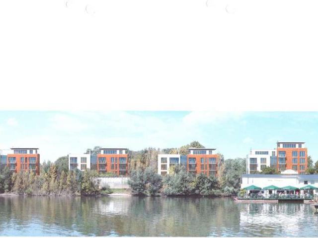 Toplage direkt am Rhein, Balkon direkt zum Rhein