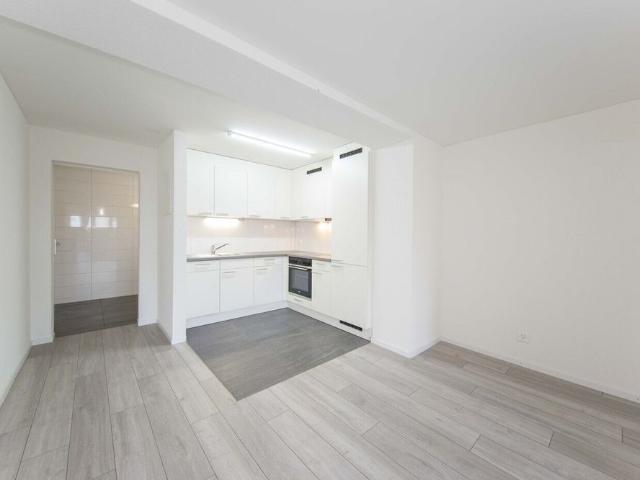 Topmodern, heimelige Studiowohnung!