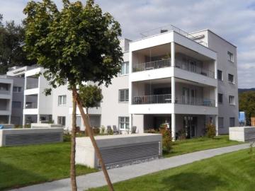 Au, Bremgarten, Fohlenweid, Bezirk Bremgarten, Aargau