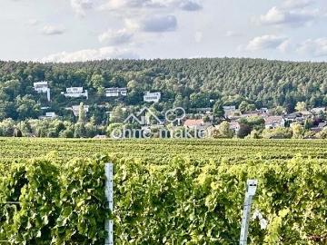 Weisenheim am Berg, Odenwald, Baden Württemberg, Rheinland-Pfalz