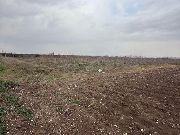 Arıklı, Tarsus, Tarsus, Mersin ili, Akdeniz Bölgesi