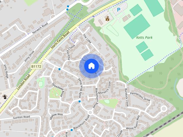 Tortoiseshell Way, Wymondham, NR18