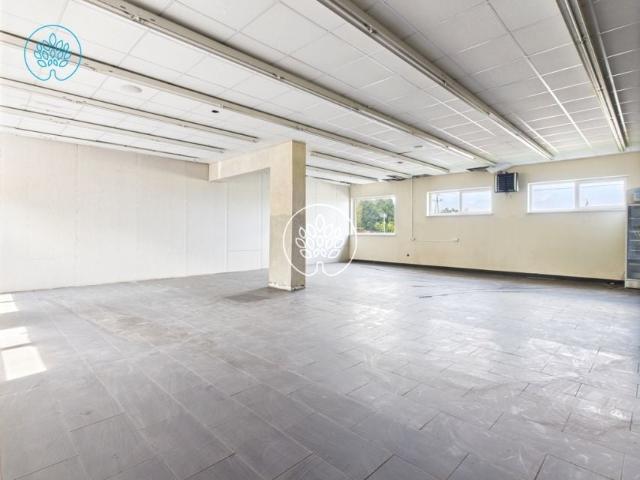 Toruńska 300 m², Łubianka