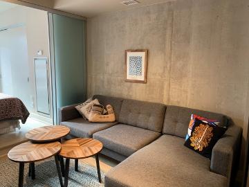 Toronto Furnished Apartment for Rent Pet Friendly 1 Bedroom, 1 Bathroom with Stylish Furnishings in King West