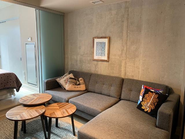 Toronto Furnished Apartment for Rent Pet Friendly 1 Bedroom, 1 Bathroom with Stylish Furnishings in King West