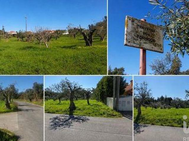 Torres Novas Santarem 104868705