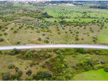Torres Novas Torres Novas 100311769