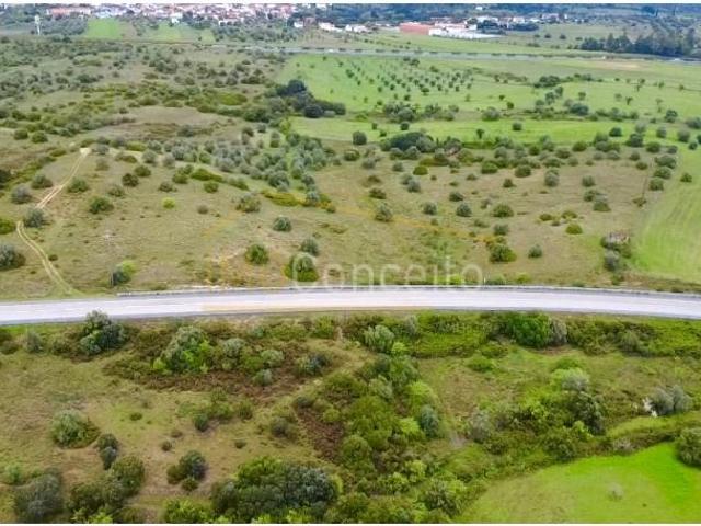 Torres Novas Torres Novas 100311769