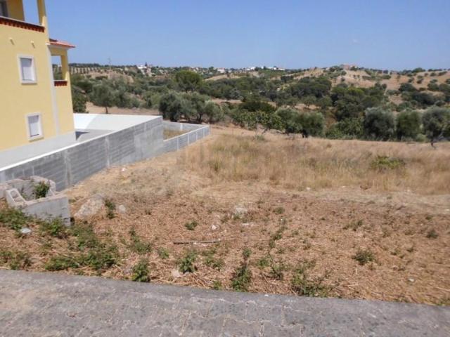 Torres Novas Torres Novas 104969727
