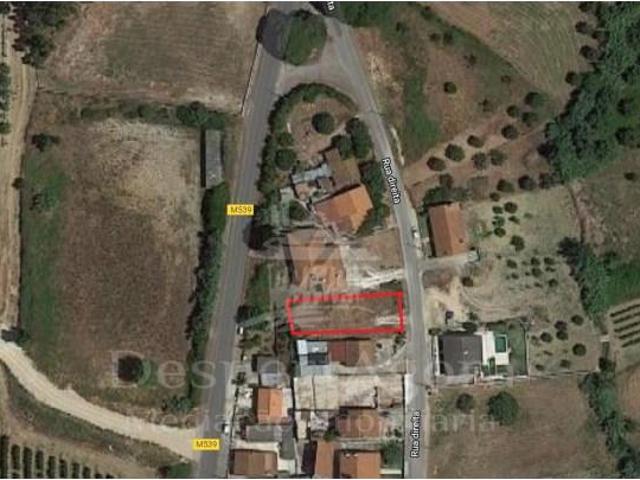 Torres Novas Torres Novas 105331858
