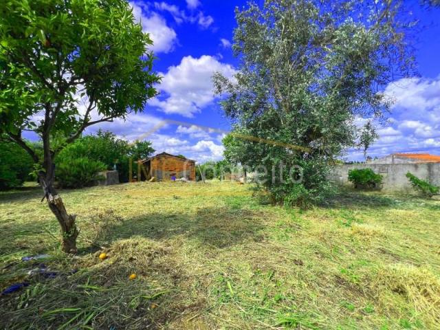 Torres Novas Torres Novas 99103139