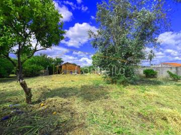 Torres Novas Torres Novas 99103139