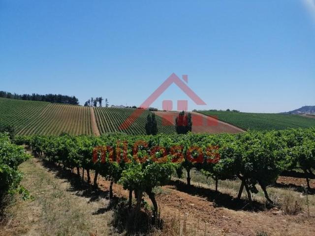 Torres Vedras Torres Vedras 105564610