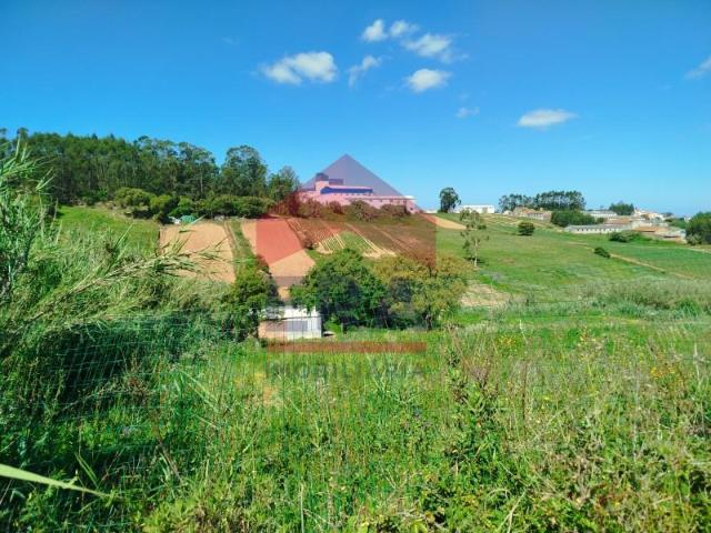 Torres Vedras Torres Vedras LS101795559