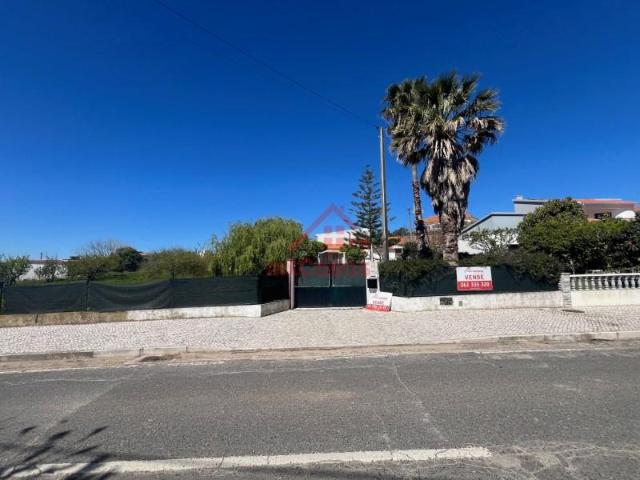 Torres Vedras Torres Vedras 102527476