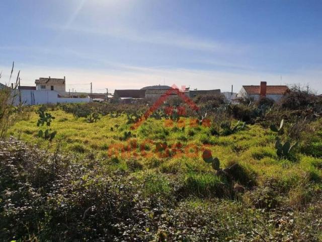 Torres Vedras Torres Vedras LS97124089