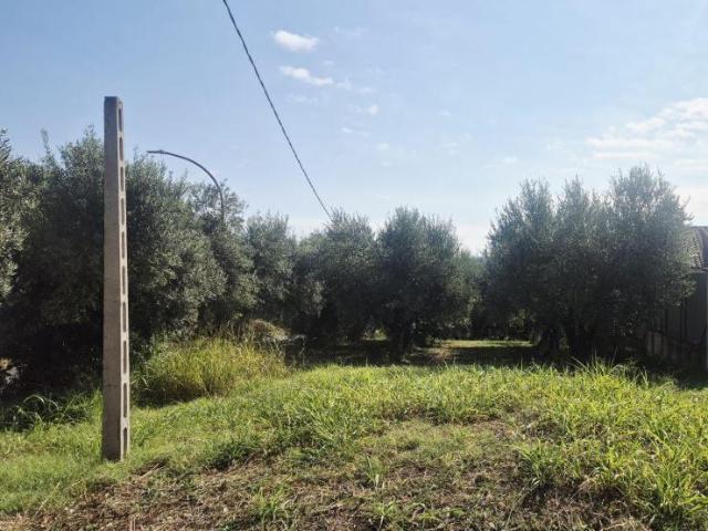 Torrevecchia Teatina 1190mq