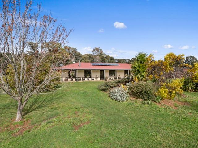 Total Privacy, Immaculate Home and Productive Farmland