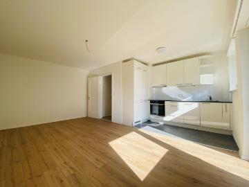 Total renovierte 2.5 Zimmer mit Balkon und Kellerabteil 1013