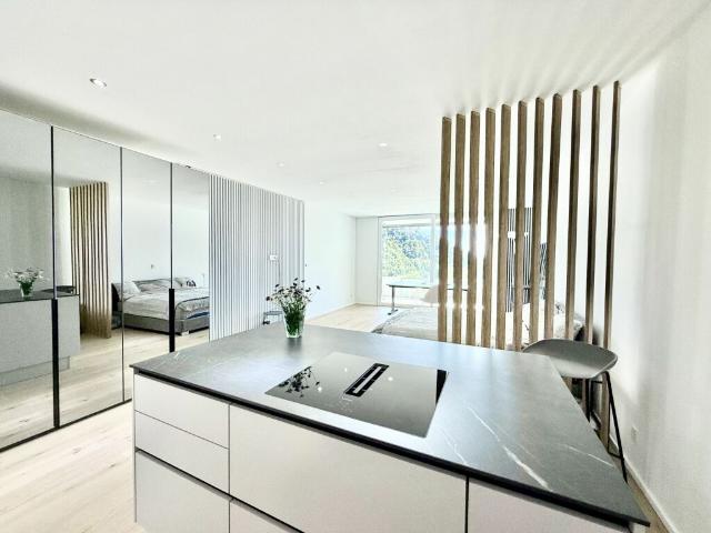 Totalsanierte und hochwertig modernisierte 1,5 Zi. Wohnung mit herrlichem Blick