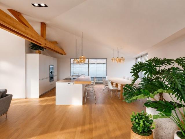Tout savoir sur cet appartement dans le quartier Sud, à Colmar