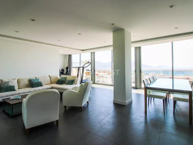 Tout savoir sur cet appartement dans le quartier Périer, à Marseille 8ème