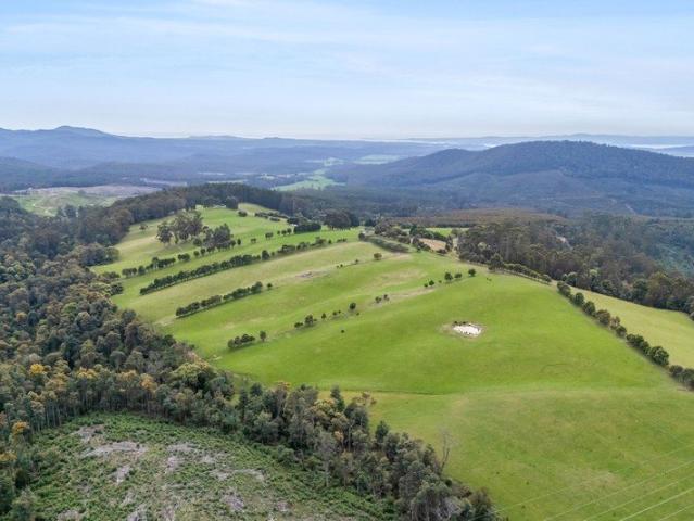 Touchwood Farm | Productive Grazing Country with Exceptional Tamar Views