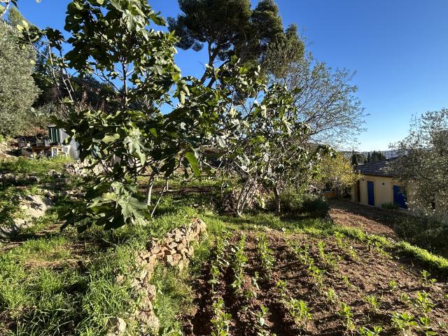 TOULON OUEST CALME MAISON 4 APPARTEMENT JARDIN TERRASSES